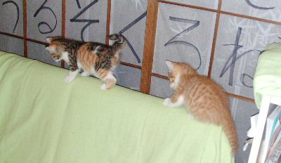 051030_21165601.jpg