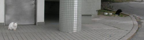 090124_104136.jpg