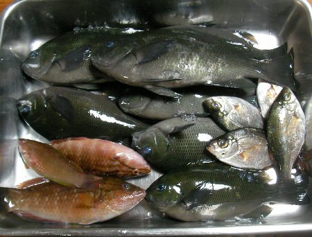100404_180000.jpg