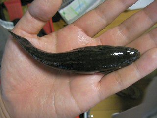100606_134041.jpg